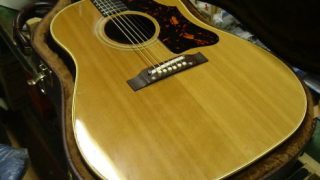 Gibson J-50