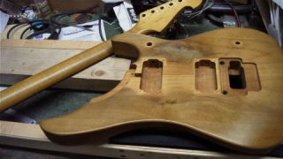 Washburn N4